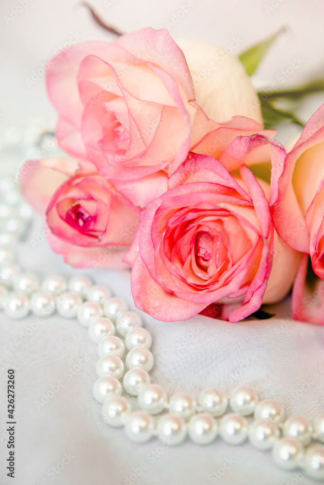 The branch of pink rose on white fabric background
The branch of pink rose on white fabric background