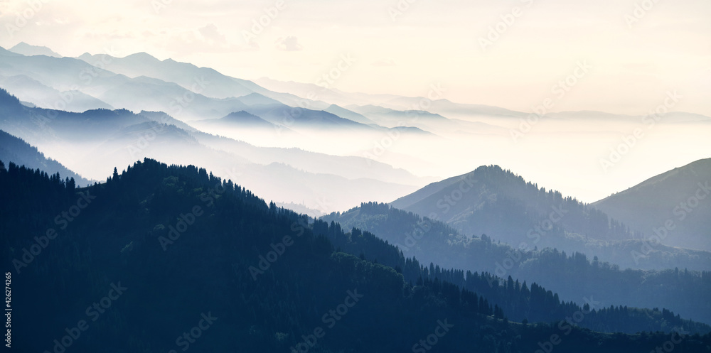Mountain forest at fog sunrise background panorama