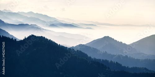 Mountain forest at fog sunrise background panorama © pikoso.kz