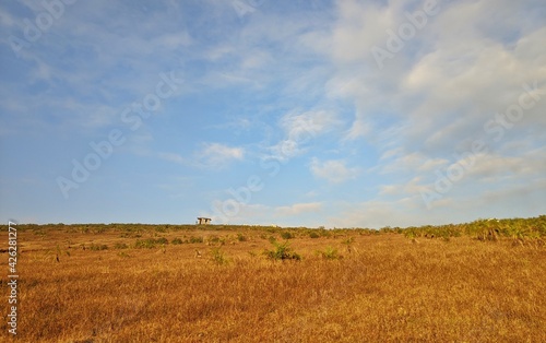 High mountain in morning time. Beautiful natural landscape