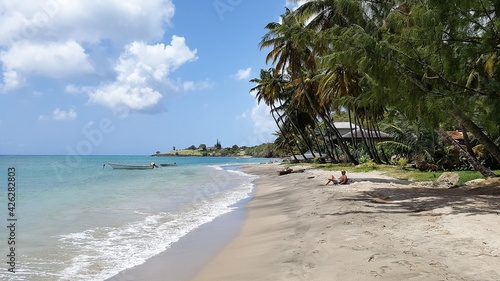 White sand beach with palm trees in Saint Lucia © Michael
