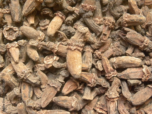 Raw whole dried Kapok bud