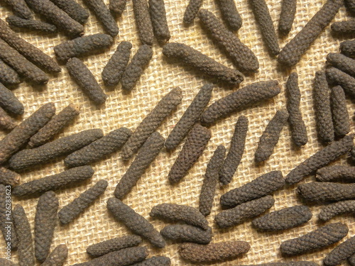 Raw whole dried black long pepper photo