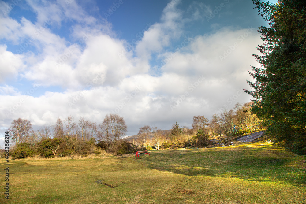 Red bench on a green meadow with clouds 