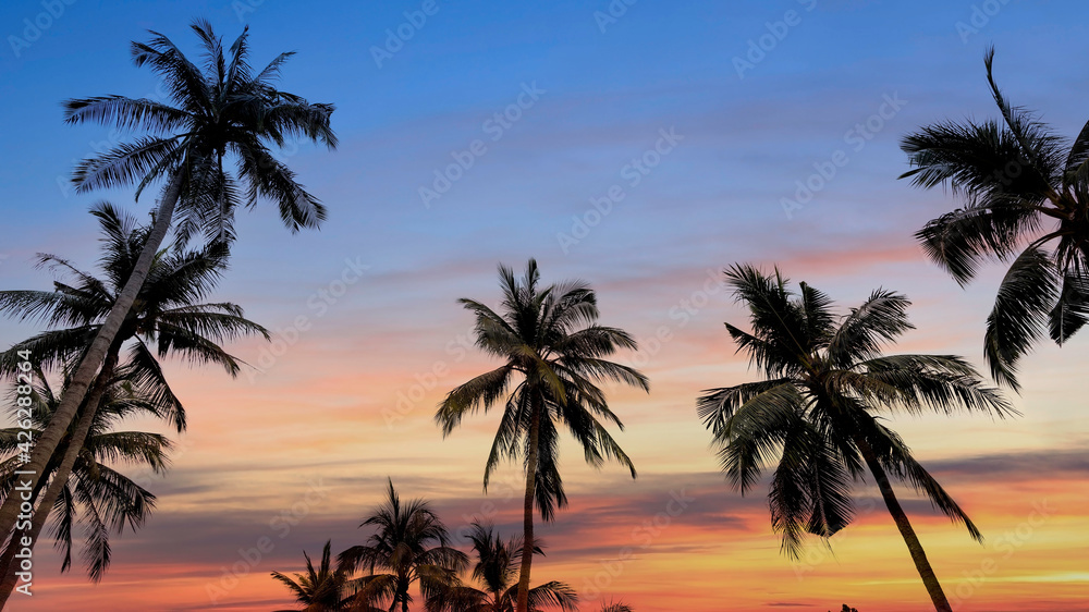 The tropic of Palm trees at tropical beach coast with sunset sky scene  which summer holiday concept background