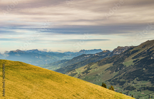Bergwiese oberhalb von Adelboden im Berner Oberland