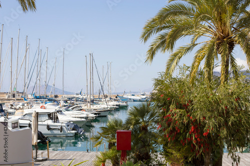 Fototapeta Naklejka Na Ścianę i Meble -  Costa Blanca, Alicante province, Calpe, Spain - April 5, 2021: view of the promenade with yachts and boats, palm trees. City landscape.