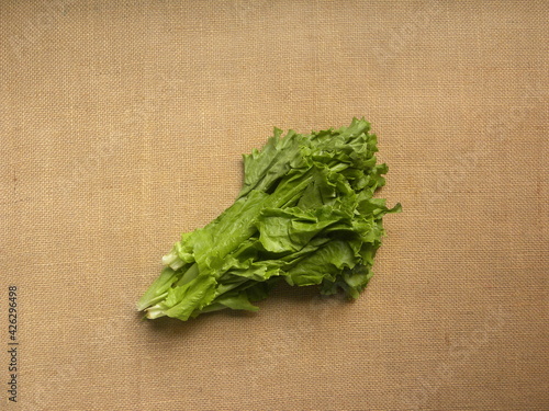 Green raw fresh leaf lettuce