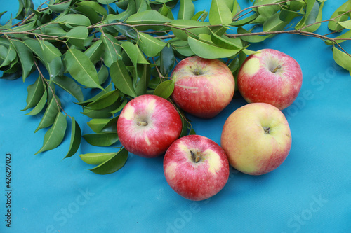 Apples and clementine branches on blue background photo