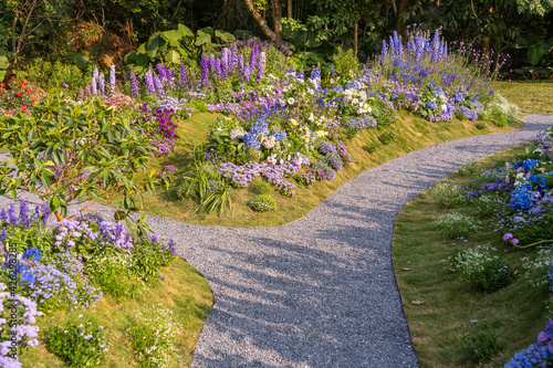 Vászonkép path leading through a flower garden with delphinium high inflorescences violet flowers