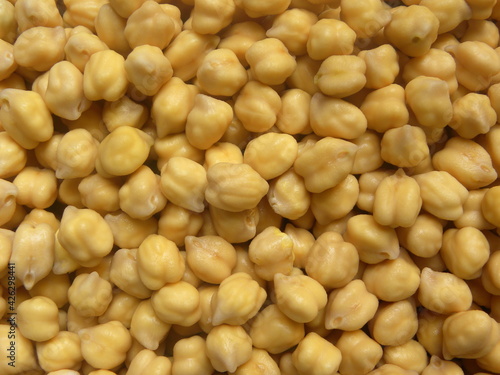 Obraz na plátně Raw whole soaked Chickpeas