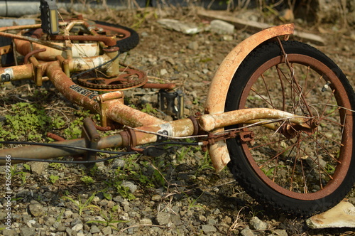 捨てられた自転車