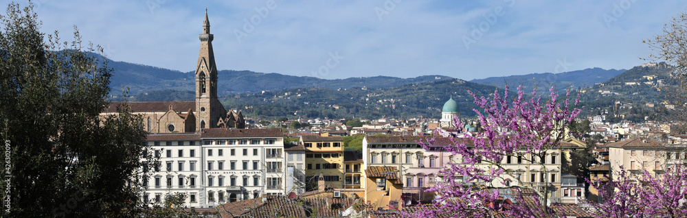 Beautiful Cityscape of Florence with Basilica of the Holy Cross and Synagogue with flowering judas tree in spring. Italy