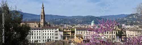 Beautiful Cityscape of Florence with Basilica of the Holy Cross and Synagogue with flowering judas tree in spring. Italy