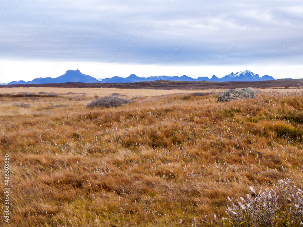 A flatland, covered with golden grass. Dried grass due to the winter season. In the back tall mountains are visible. Great overcast.