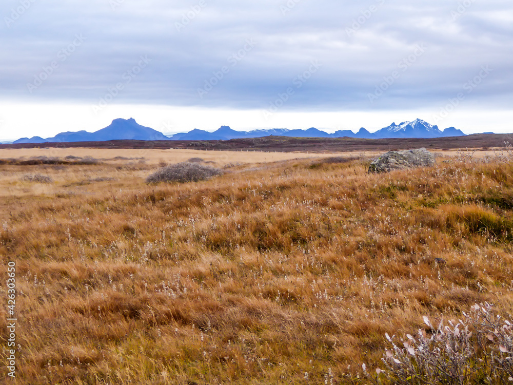 A flatland, covered with golden grass. Dried grass due to the winter season. In the back tall mountains are visible. Great overcast. A flatland, covered with golden grass. Dried grass due to the winter season. In the back tall mountains are visible. Great overcast.