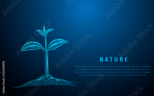 growing plant sprout. Biotechnology concept. Low poly style design. Abstract blue geometric background. Wireframe light connection structure. Modern 3d graphic Isolated vector illustration