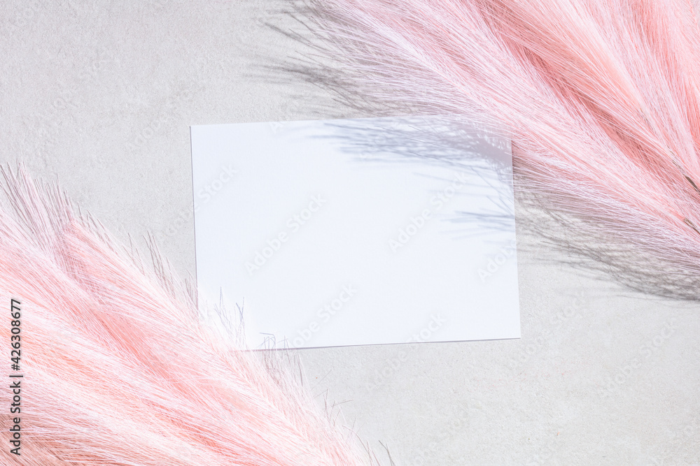 pink artificial p pampas grass with flatley composition with postcard for space for your text - obrazy, fototapety, plakaty 