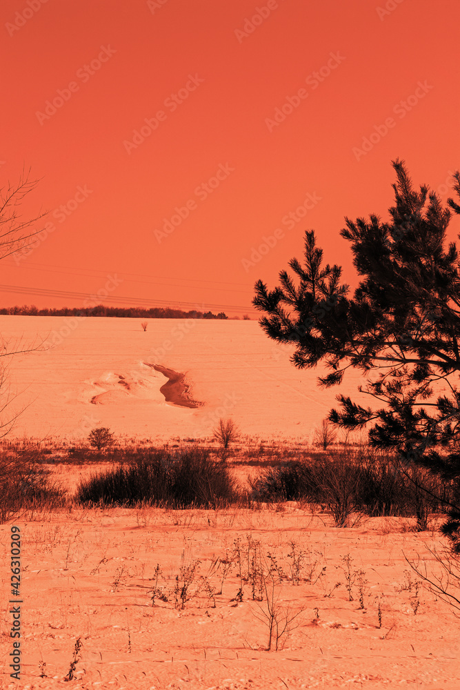 Fototapeta premium Winter snowy landscape with a pine tree in the foreground at sunset. Selective focus, white balance offset.