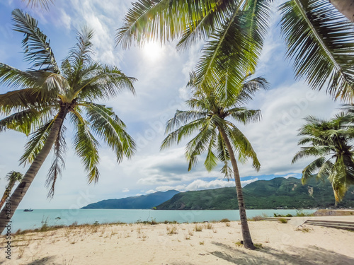 Fototapeta Naklejka Na Ścianę i Meble -  Island Paradise - Palm trees hanging over a sandy white beach with stunning blue waters