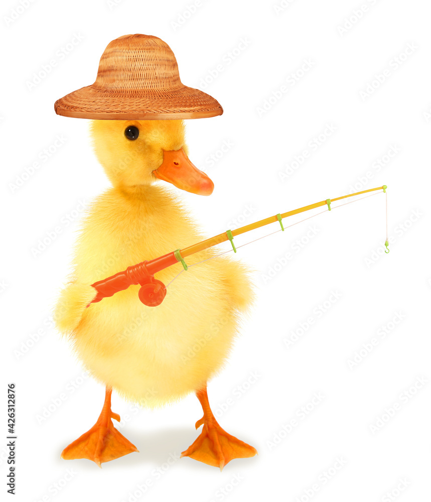 Cute cool duckling fisherman duck with fishing rod hobby leisure activity  funny conceptual image Stock Photo