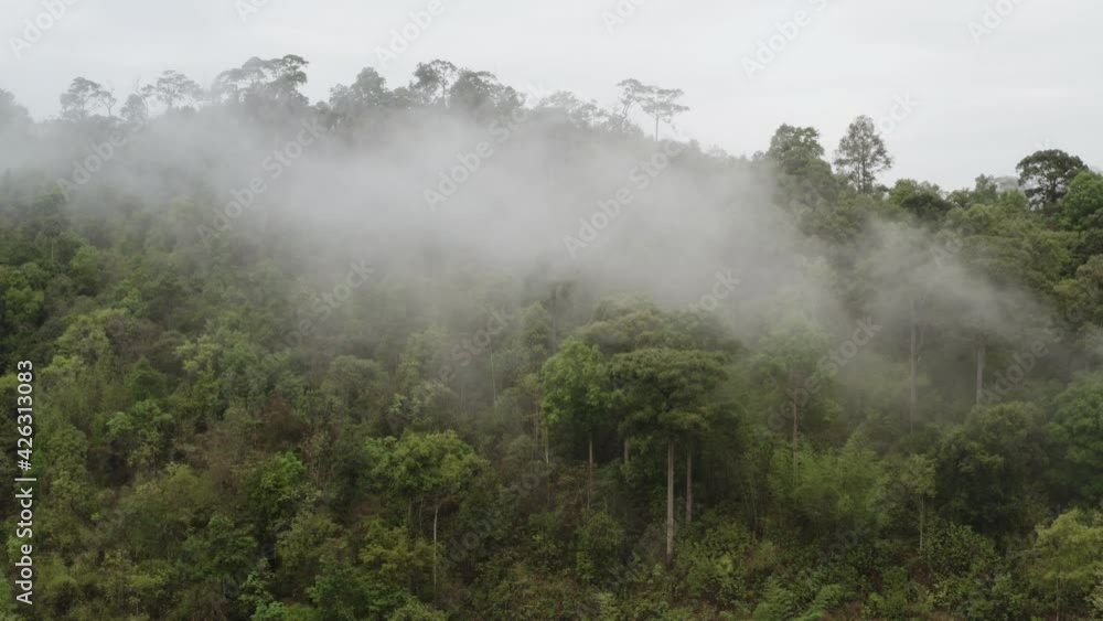 Aerial view of a forest in the lush green rain cloud cover tropical rain forest mountain during the rainy season in the northern Thailand Aerial view of a forest in the lush green rain cloud cover tropical rain forest mountain during the rainy season in the northern Thailand