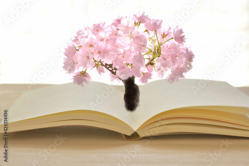 開いた本　桜の花が咲く © tamayura39
