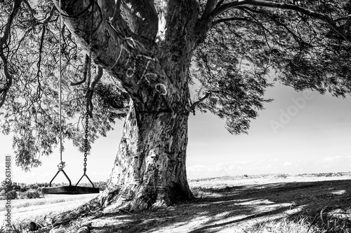 Wallpaper Mural tree Torontodigital.ca