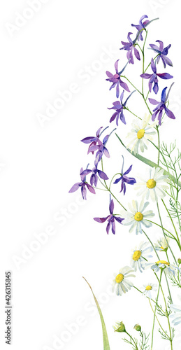 Watercolor vertical of blue flowers and daisies on white background 