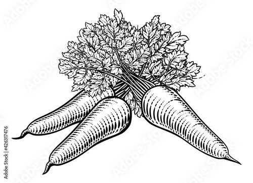 Carrots Vegetable Vintage Woodcut Illustration