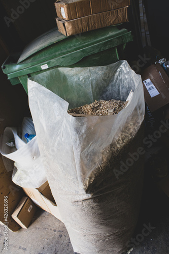 Carpenter in the carpentry in action