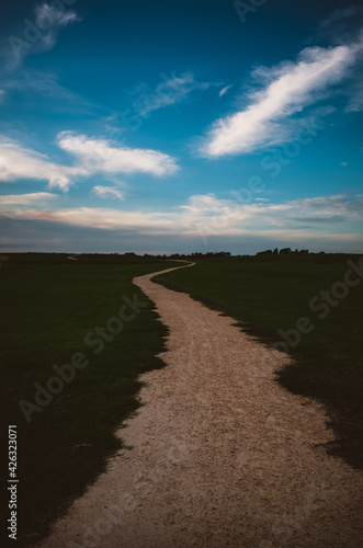 Path through a field