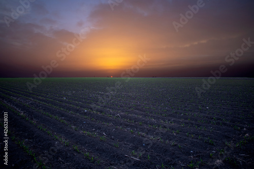 farm field landscape with sunset