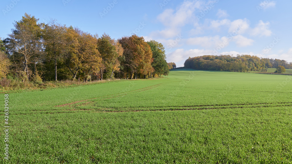 Waldrand und Felder im Herbst