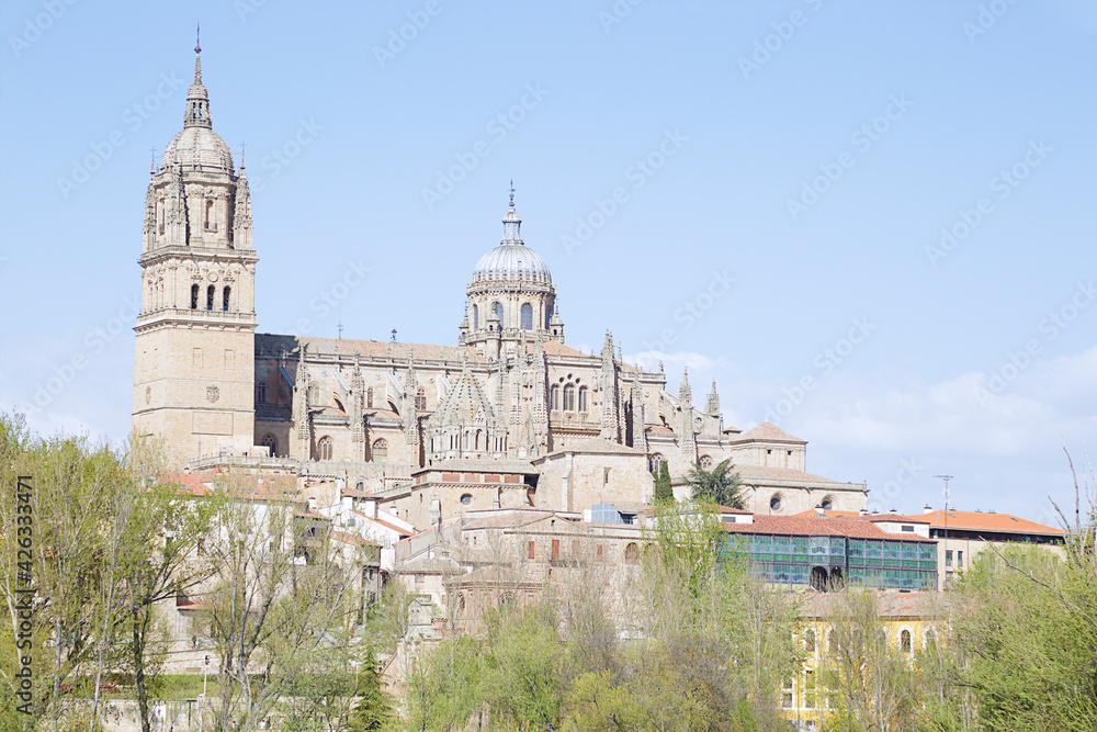 Beautiful landscape with famous Salamanca cathedral in Spain