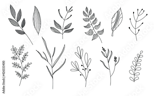 Vector set graphic set of plants in doodle style