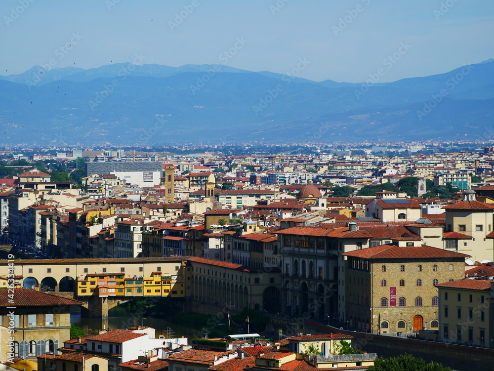 Cityscape of florence IV