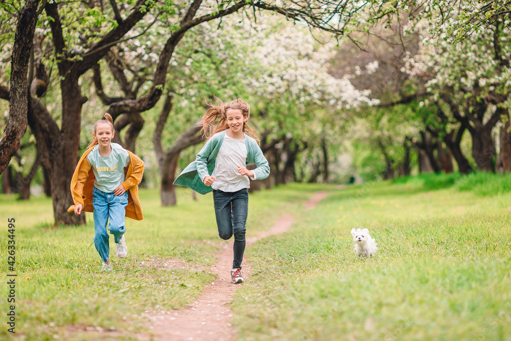 Obraz premium Little smiling girls playing with puppy in the park