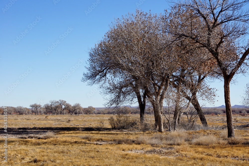 Bosque Del Apache National Wildlife Refuge in New Mexico Bosque Del Apache National Wildlife Refuge in New Mexico