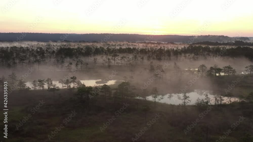 foggy morning over the swamp flying on a quadrocopter foggy morning over the swamp flying on a quadrocopter