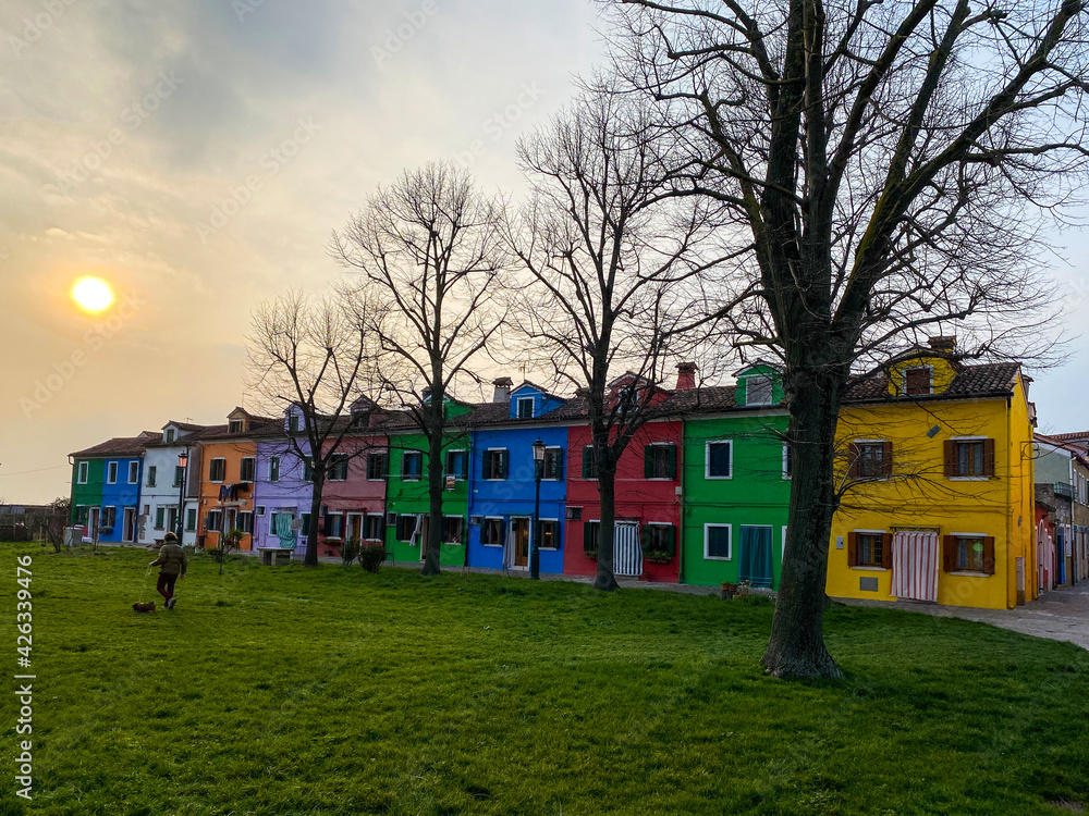 Unrecognizable person walking his dog in a grass square, with trees, typical and very colorful of Burano at the sunset.