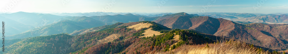 Mountain wilderness landscape, panorama forest-covered mountain range hills, nature Carpathians Ukraine, warm autumn day October.