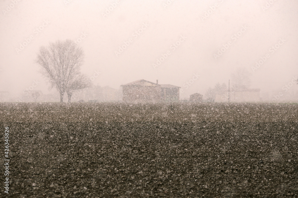 morning in the field morning in the field