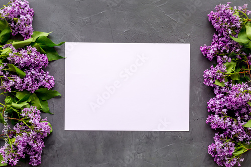 Spring purple lilac flowers. Fla lay  mock up
