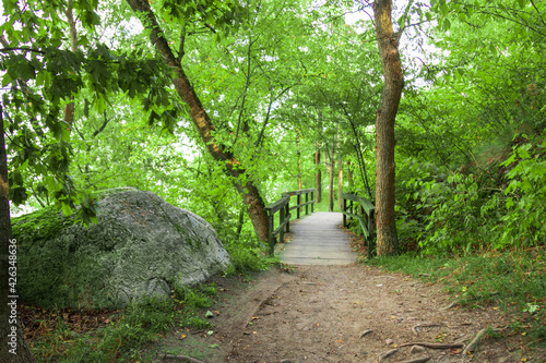 path in the woods in a park