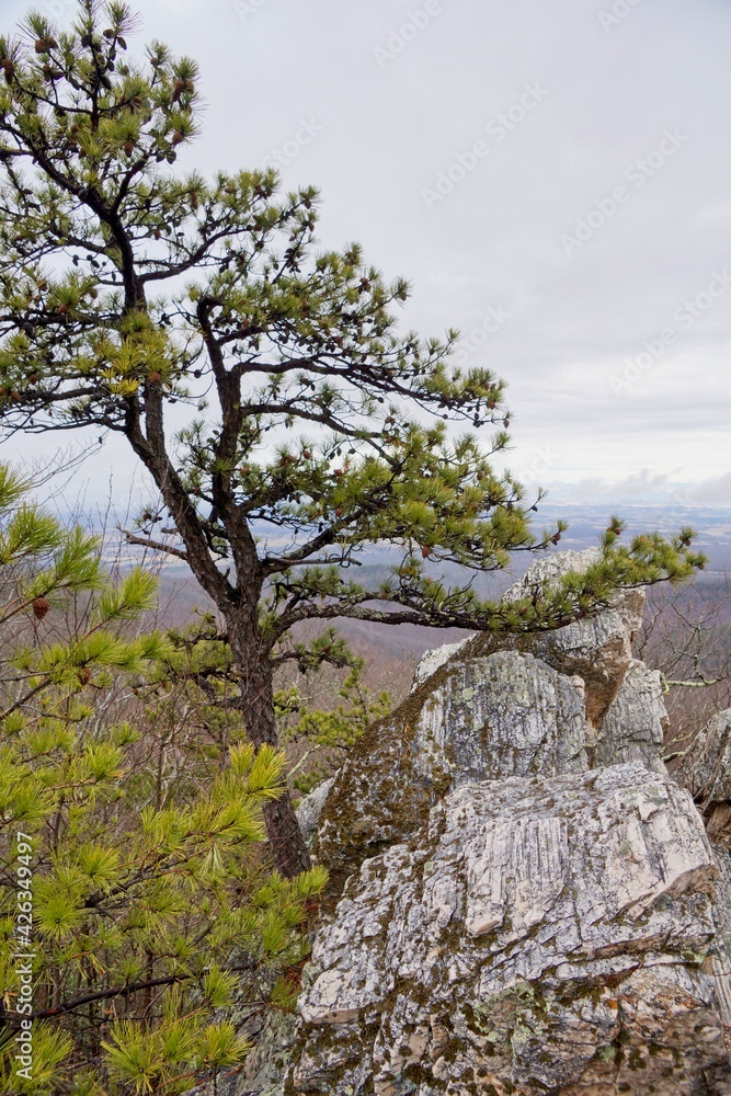 Rocks in Shenandoah National Park in Virginia USA Rocks in Shenandoah National Park in Virginia USA