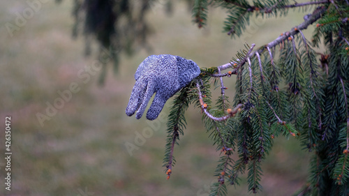 Lost knitted glove on a tree branch