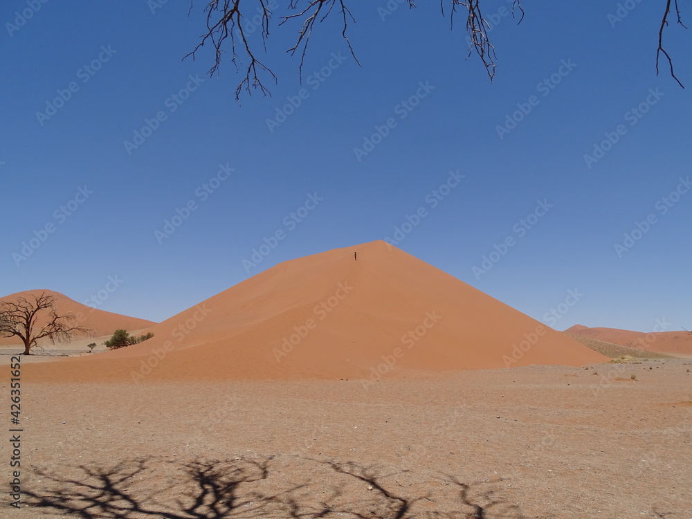 dune 45 in sossusvlei