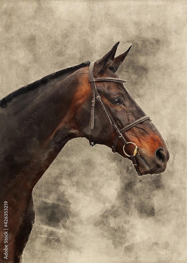 Obraz premium Watercolor illustration of a bay horse. Portrait of beautiful race horse