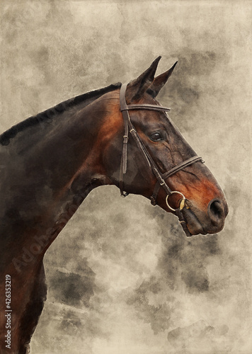 Watercolor illustration of a bay horse. Portrait of beautiful race horse
